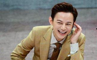 娱乐吃瓜君黄磊,娱乐圈的“吃瓜”高手,揭秘明星幕后故事